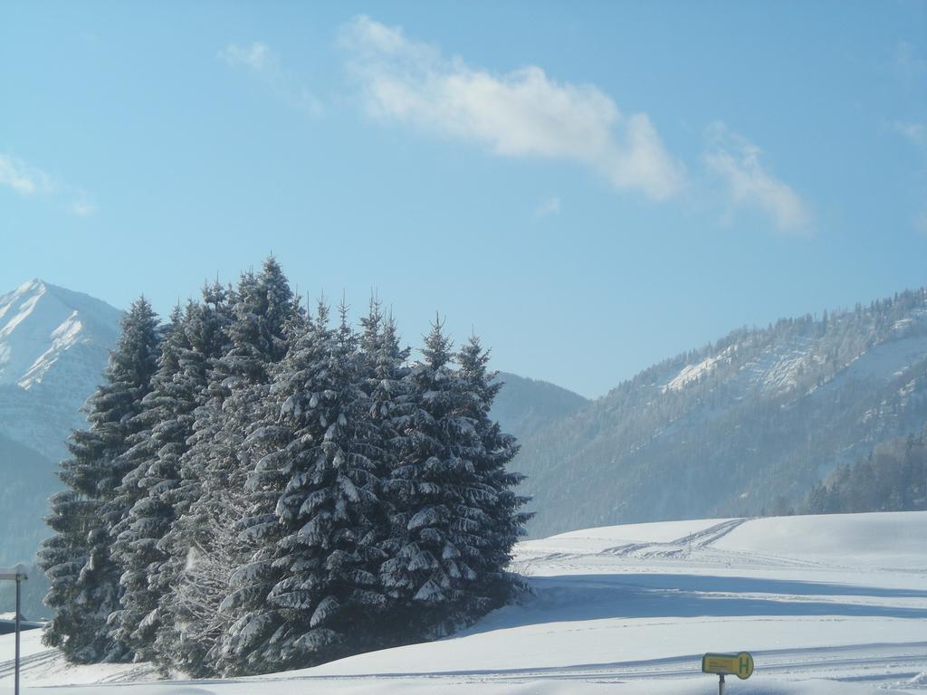 Gasthof Botenwirt فيستينو المظهر الخارجي الصورة