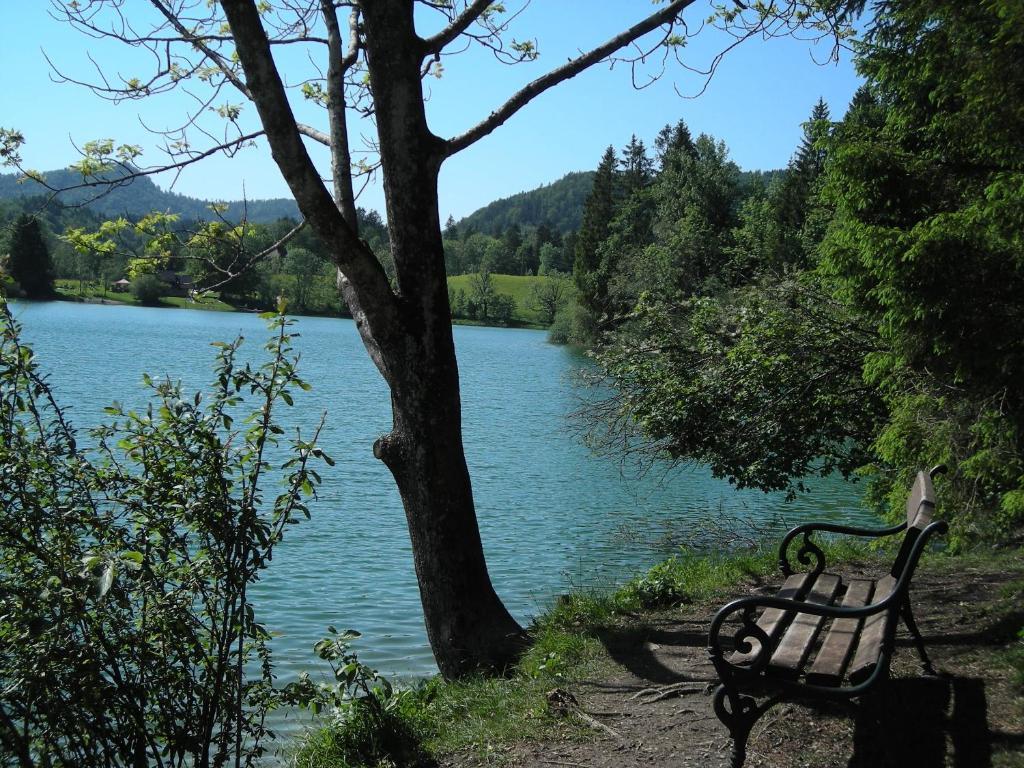 Gasthof Botenwirt فيستينو المظهر الخارجي الصورة